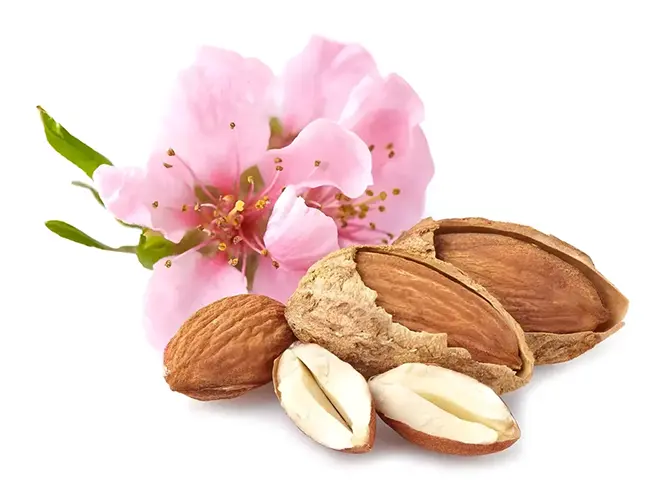 Almendras con su flor