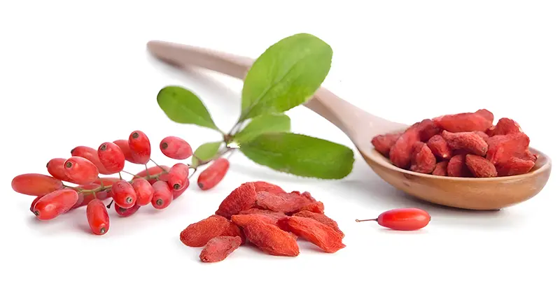 Bayas de goji frescas y deshidratadas con hojas verdes y cuchara de madera sobre fondo blanco