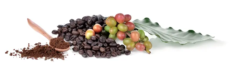 Granos de Café