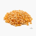 Montón de granos de maíz curagua amarillo sobre fondo blanco