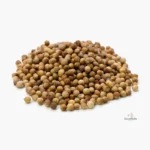 Montón de semillas de cilantro secas sobre fondo blanco